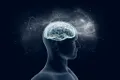 Oamenii de știință au găsit rețeaua neuronală vitală pentru creativitate