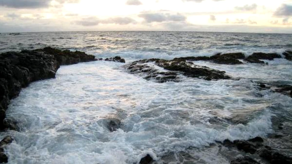 Lipsa de oxigen va transforma oceanul planetar intr-un cimitir mlastinos