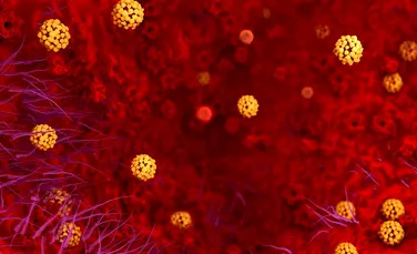 Avertisment OMS: Noul coronavirus din China s-ar putea răspândi la nivel mondial