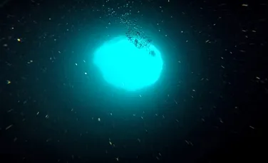 Oamenii de știință vor explora o „gaură albastră” misterioasă, ascunsă în apele din apropiere de Florida