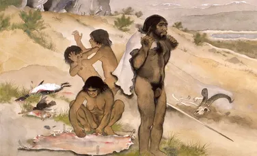 Dieta neanderthalienilor cuprindea şi fructe de mare