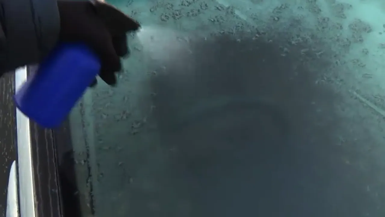 1-freeze 