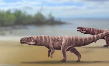 O specie de crocodili dispărută se deplasa pe două picioare