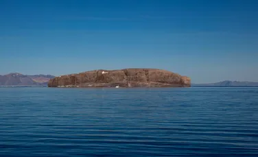 Canada și Danemarca au decis să împartă o insulă arctică. Disputa a început secolul trecut