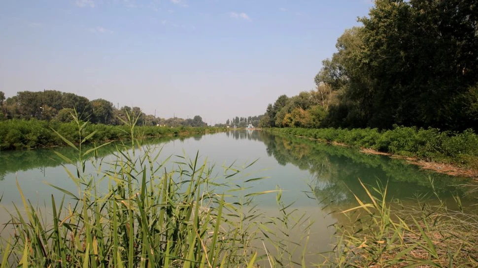 Specii rare protejate, de floră şi faună, pot fi văzute la 20 de kilometri de Bucureşti