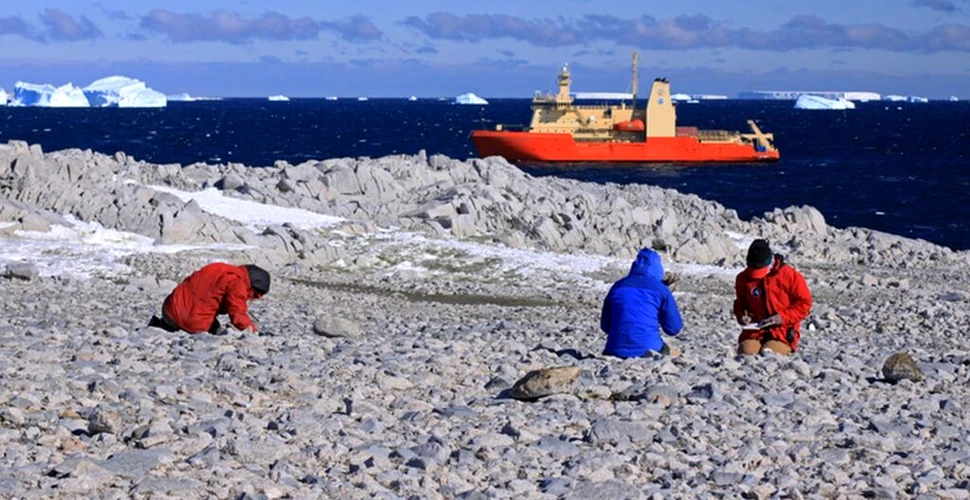 Gheața din Antarctica se topește în cel mai accelerat ritm din ultimii 5.000 de ani. „Un fenomen fără precedent“