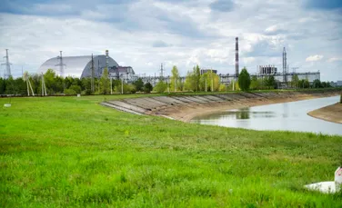 Niveluri de radiații periculoase, descoperite la recoltele din afara zonei de excludere de la Cernobîl