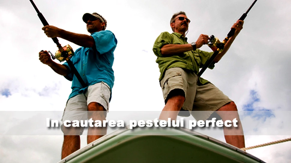 In cautarea pestelui perfect