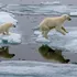 Arctica ar putea rămâne fără gheață în timpul verii în următorii zece ani
