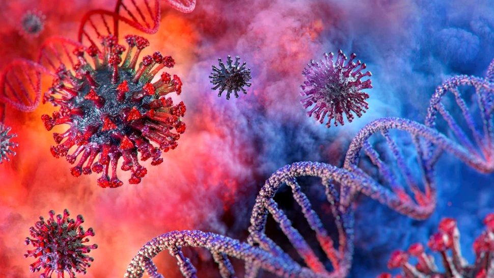 Un nou virus care afectează oamenii, descoperit în Japonia. Care sunt simptomele