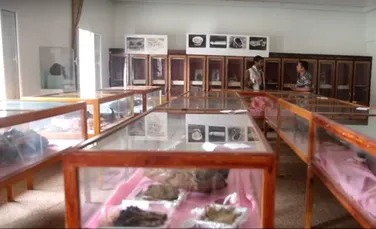 O colecţie de mumii din anul 400 î.Hr ,ameninţate de conflictele de Yemen
