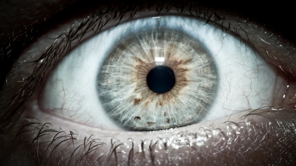 Ochiul uman are capacitatea să creeze imagini ”fantomă”