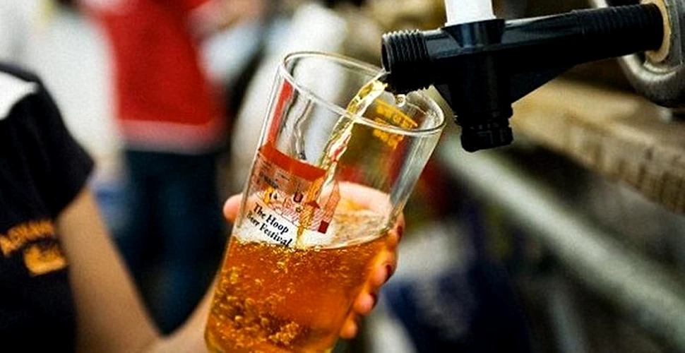Puritatea berii germane, pusă la îndoială. ”Până acum nu am văzut pe nimeni să bea o mie de litri de bere”
