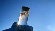 Oamenii de știință au creat alge care ar putea elimina microplasticul din apa potabilă