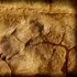 O rudă a omului surprinzător de înaltă, descoperită în fosile vechi de 1,4 milioane de ani