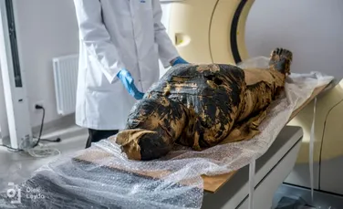 Singura mumie însărcinată descoperită până acum