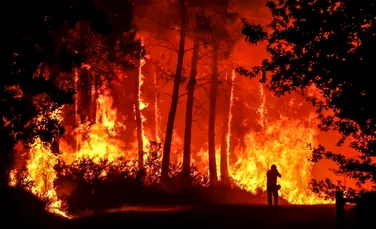 Incendiile de vegetație au devastat sud-vestul Franței