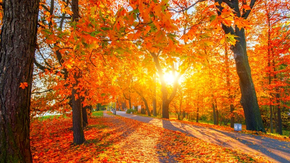 Noua prognoză meteo! Vremea se încălzește în următoarele săptămâni