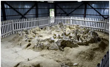 La apogeul erei glaciare, oamenii au construit adăposturi din oase de mamut