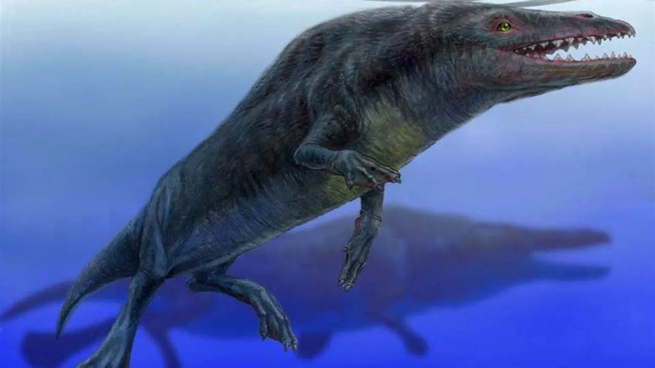 1-rodhocetus 