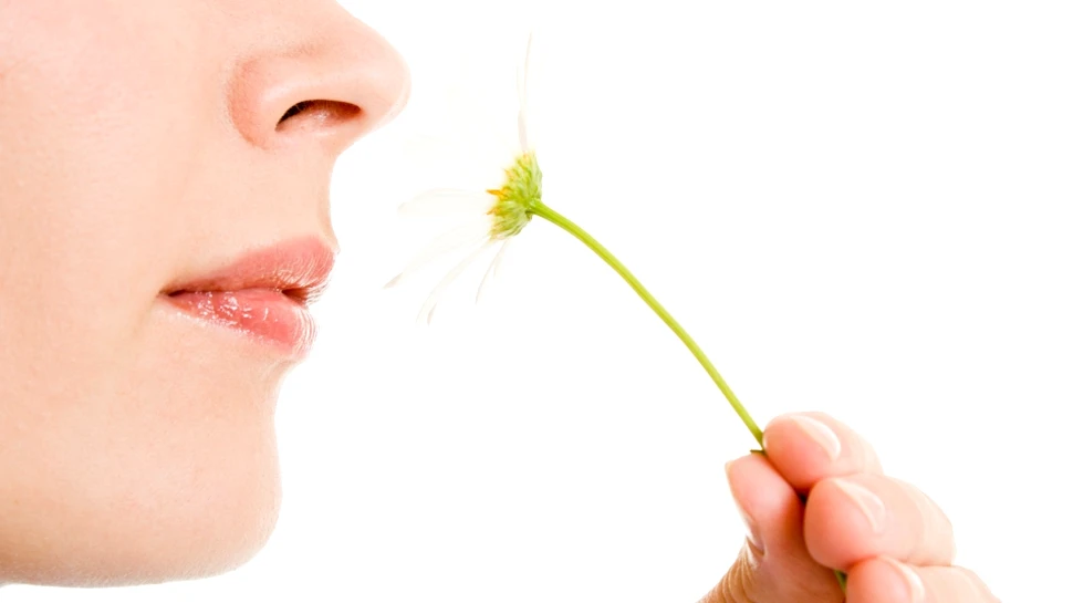 „Fabrica de organe umane”. Cum arată nasurile şi urechile realizate în laborator (VIDEO)