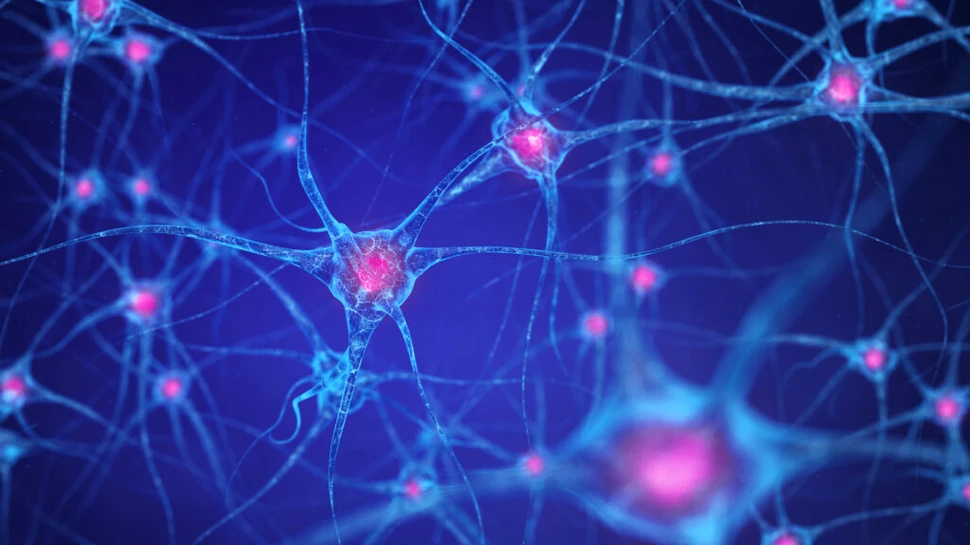 Inteligența Artificială identifică medicamente anti-îmbătrânire care vizează celule „zombi”