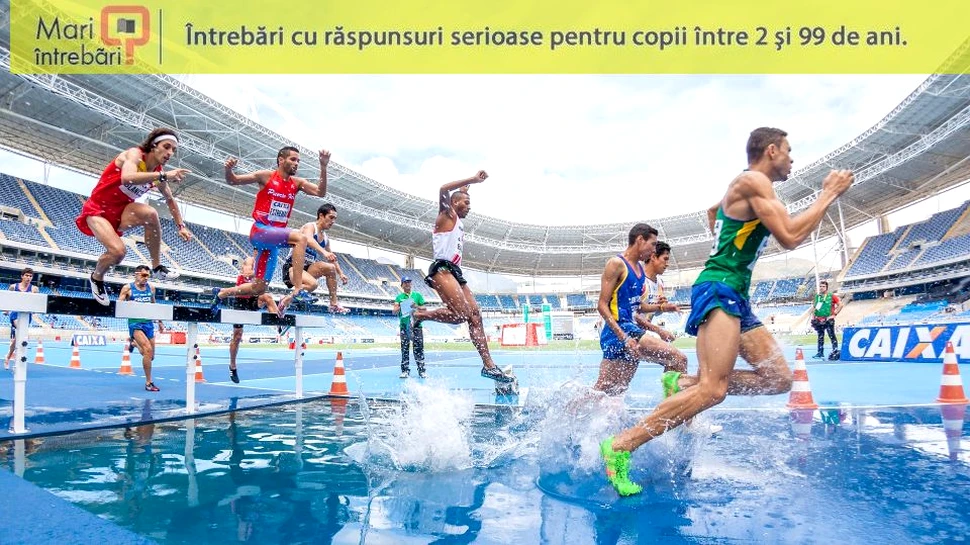 Ce este acidul lactic?