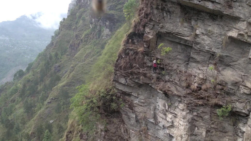 Mierea halucinogenă, produsul pentru care unele persoane escaladează stânci de peste 90 de metri înălţime