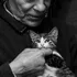 Louis Camuti, Doctorul pisicilor. Primul veterinar al felinelor