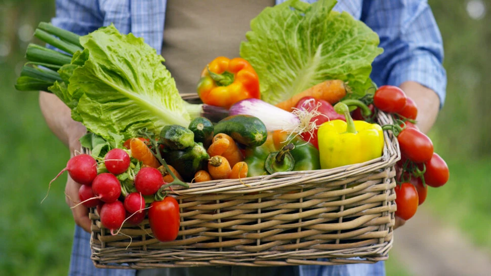 Studiu: Schimbările climatice afectează calitatea nutrițională a culturilor alimentare
