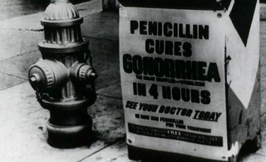 Penicilina, una dintre cele mai importante descoperiri ale medicinei moderne