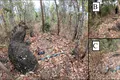 Oase de la 37 de oameni au fost găsite într-un vas uriaș de piatră vechi de sute de ani