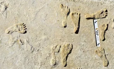 Urmele fosilizate arată că oamenii au ajuns în America de Nord mult mai devreme decât se credea