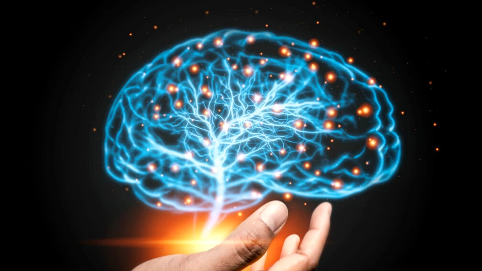 O descoperire rară. Cum ar putea determina o mutație genetică o inteligență mai mare?