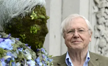 David Attenborough, „profund deranjat” după ce Inteligența Artificială i-a furat vocea