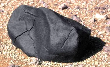Urme de “viata” “la bordul” unui meteorit