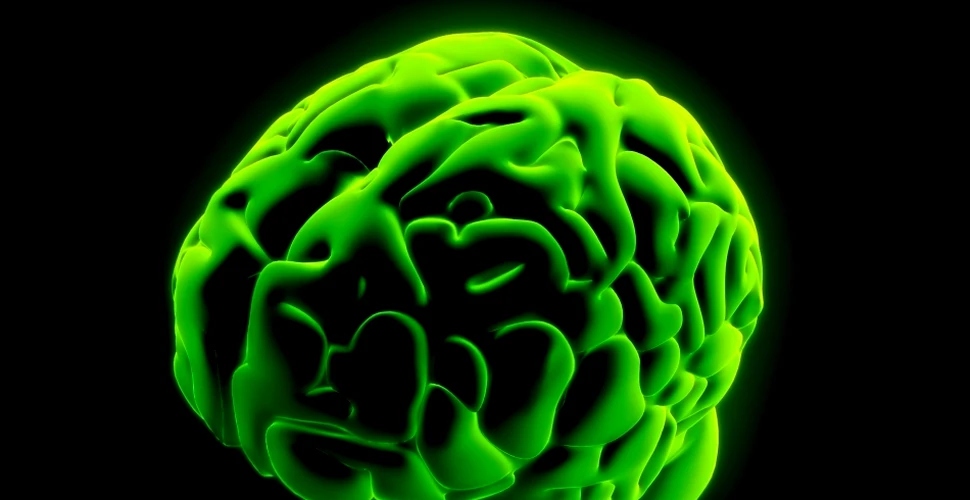 Cum se „curăţă” creierul? (VIDEO)