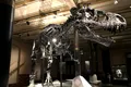 Extincția care a permis dinozaurilor să domine lumea