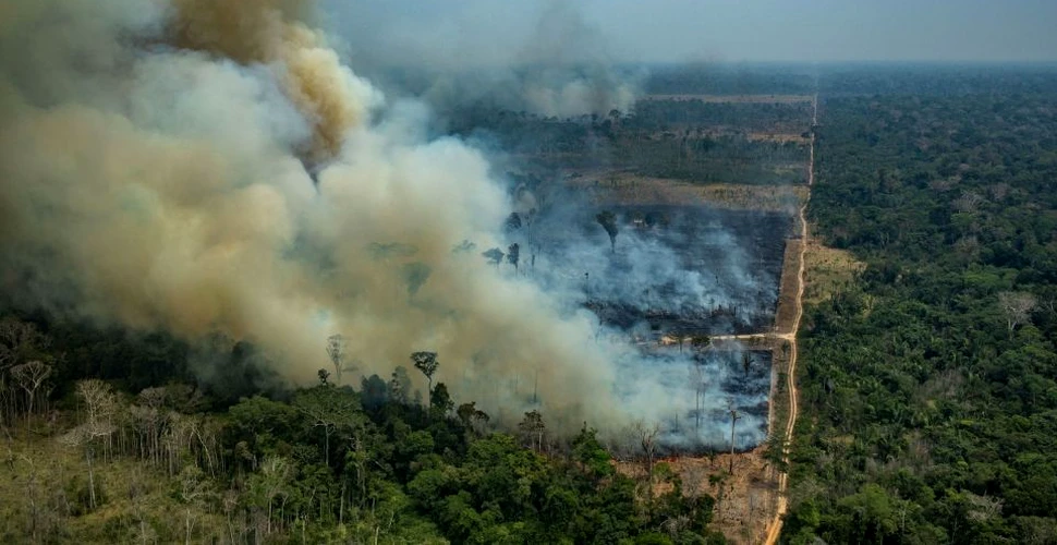 Incendiile din Pădurea Amazoniană. Brazilia a respins oferta din partea G7 pentru salvare