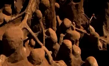 O enormă „citadelă a furnicilor” a fost descoperită în Brazilia (VIDEO)