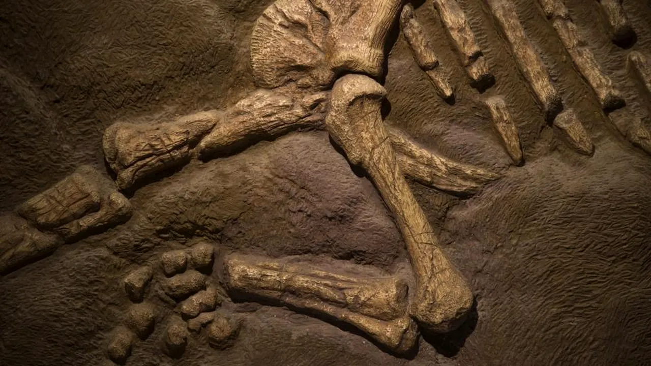 1-dinozaur-bigfoot-123rf 