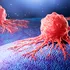 Un supliment obișnuit pentru sală ar putea ajuta celulele care luptă împotriva cancerului