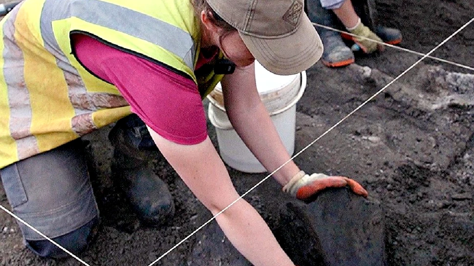 Cinci mamuți din era glaciară, descoperiți de arheologii britanici după 220.000 de ani