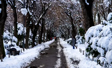 Zonele din România unde va ninge de Crăciun