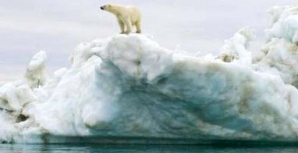 SOS! Incalzirea globala este mai aproape decat credeam (FOTO)