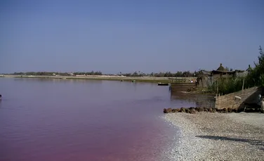 Unde se află cel mai mare lac roz din lume. Un VIDEO spectaculos şi topul celor mai frumoase 10 lacuri din lume