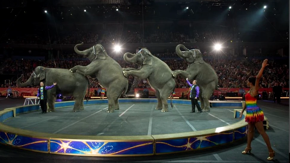 Un circ celebru din Statele Unite se închide după 146 de existenţă. Ce a dus la această decizie