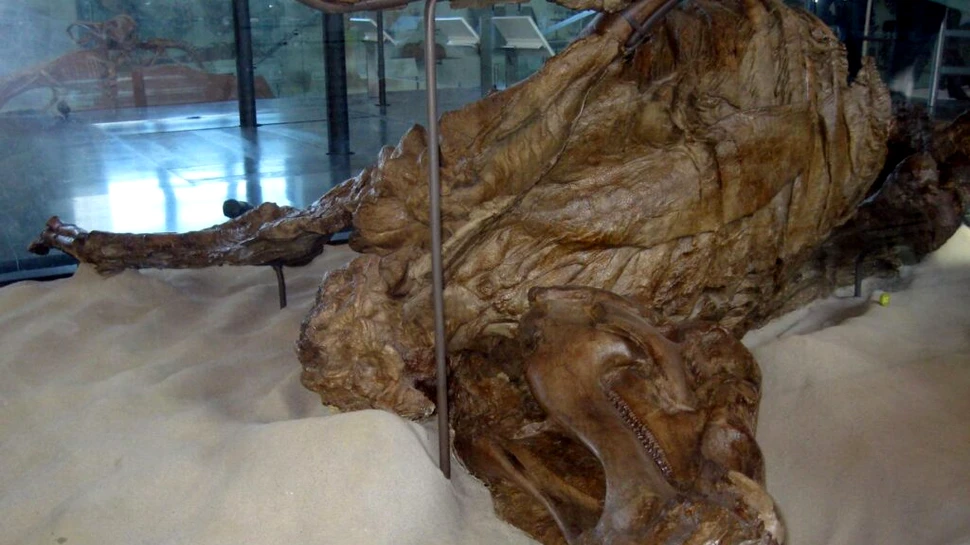 „Mumii de dinozauri” excepțional de bine conservate dezvăluie primele copite de reptilă cunoscute