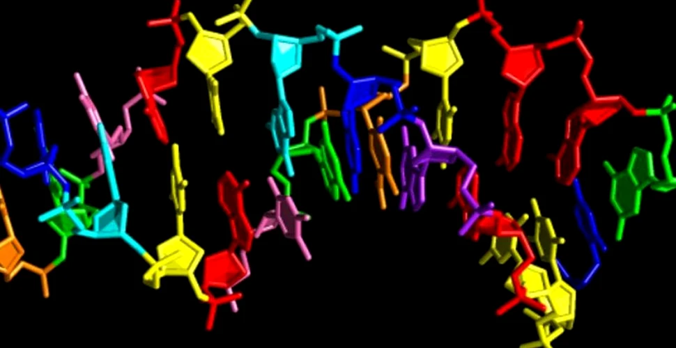 ADN-ul sintetic cu patru baze adiţionale, creat în premieră de cercetători