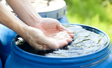 Test de cultură generală. Apa de ploaie este bună de băut?